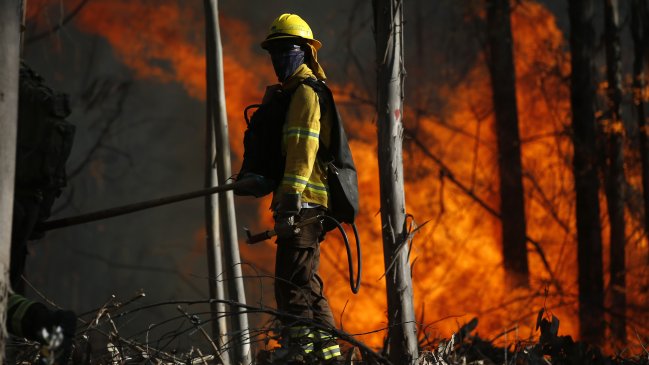 Onemi mantuvo Alerta Temprana Preventiva ante riesgo de incendios forestales en La Araucanía