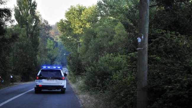 PDI decomisó marihuana avaluada en 14 millones de pesos en Portezuelo