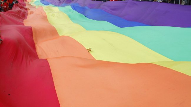 Senado aprobó idea de legislar el matrimonio igualitario