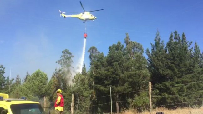 Onemi decreta alerta roja en Chillán por incendio que afecta localidad rural