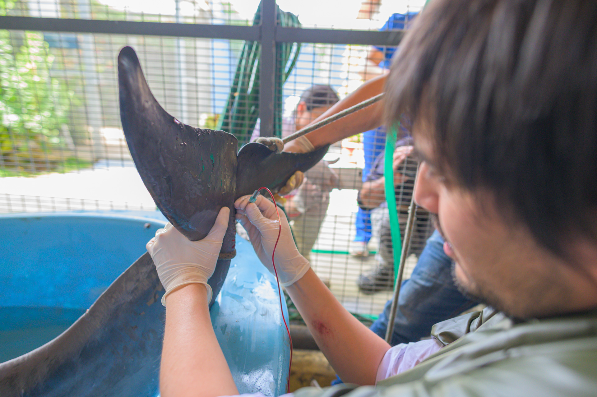 Imagen foto_00000003