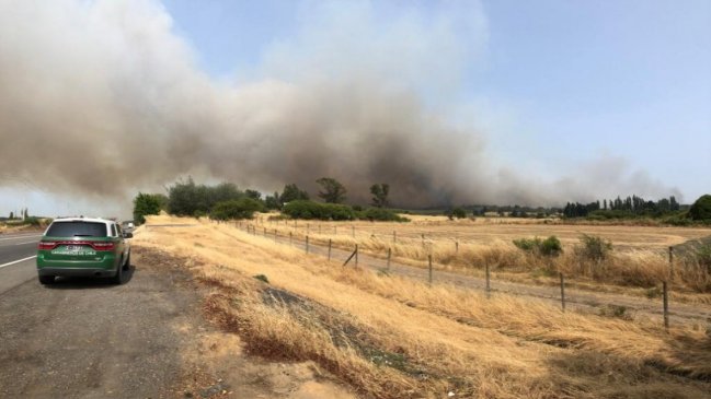 Chillán mantiene alerta roja por incendio que lleva 790 hectáreas consumidas