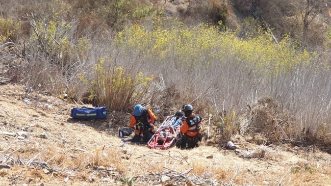 Bomberos rescató a hombre que cayó a una quebrada en Viña del Mar