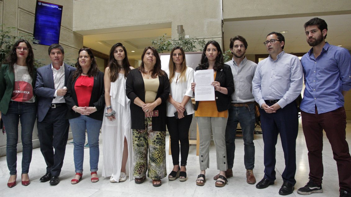 Oposición presentó requerimiento ante TC por 