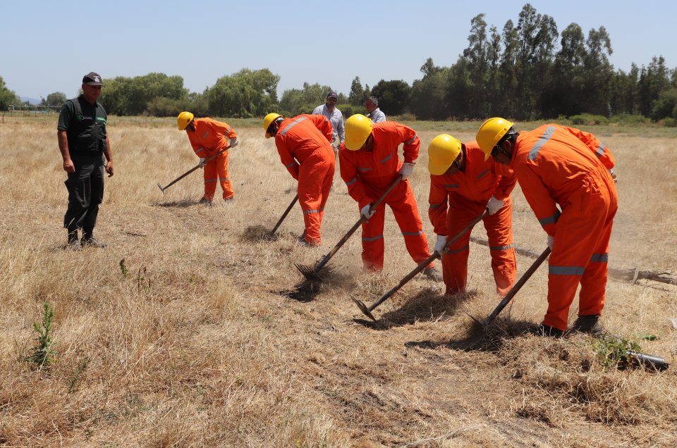 Reclusos de Ñuble reciben capacitación y promesa laboral como futuros brigadistas forestales