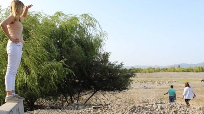 Modatima acusó conflicto de intereses de la directora DGA del Maule