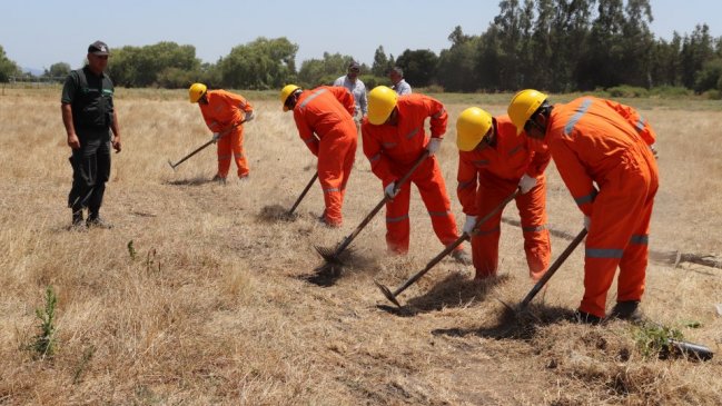 Reclusos de Ñuble reciben capacitación y promesa laboral como futuros brigadistas forestales