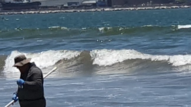 Decretan el cierre parcial de playa Chinchorro en Arica tras masiva presencia de coliformes fecales