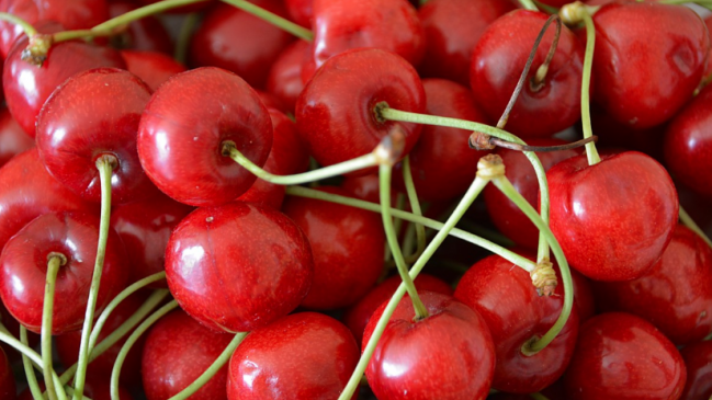 Carabineros recuperó contenedor con millonario cargamento de guindas