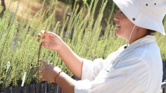 Valparaíso aumenta participación en propuestas de proyectos de innovación