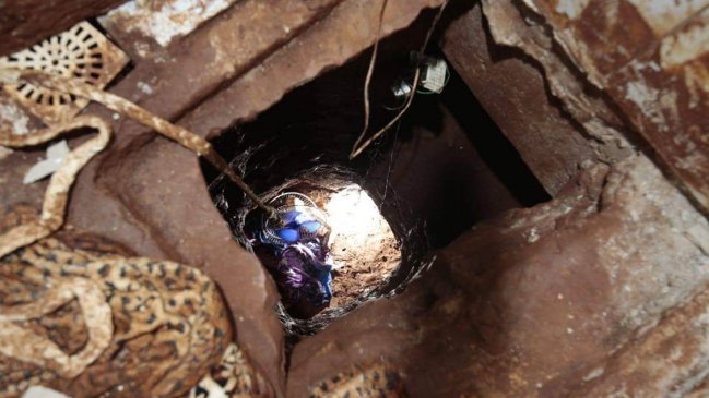 Paraguay: Diez de los 75 reos fugados de una cárcel ya fueron recapturados