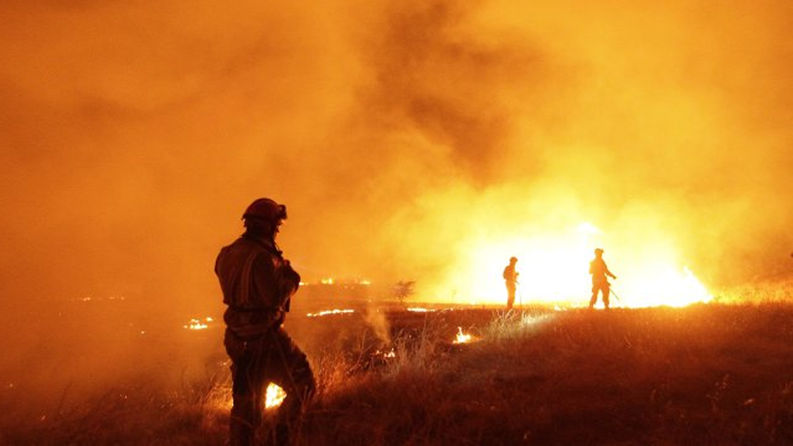 Balance de Onemi: 13 incendios forestales siguen activos a nivel nacional