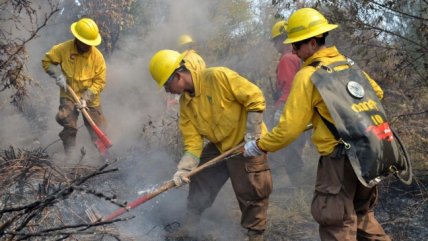Atacan a brigada mientras combatía incendio forestal en la provincia de Arauco