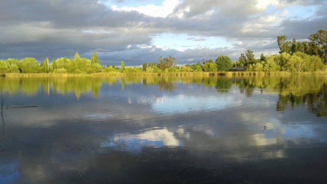 Laguna Santa Elena será el tercer Santuario de la Naturaleza en la Región de Ñuble
