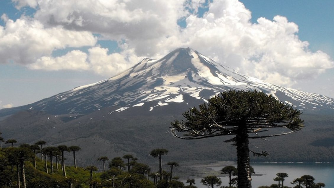 Encuentran muerto a docente desaparecido hace ocho meses en Parque Conguillío