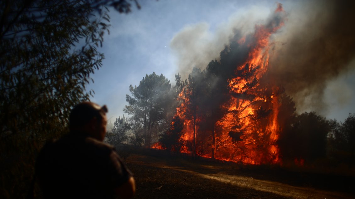 Onemi declaró Alerta Roja en Lumaco por incendio forestal