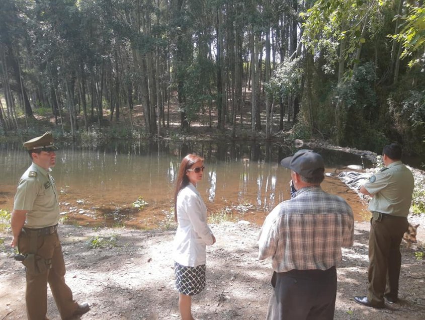 Cinco campings de Ñuble fueron sometidos a sumarios por deficiencias sanitarias