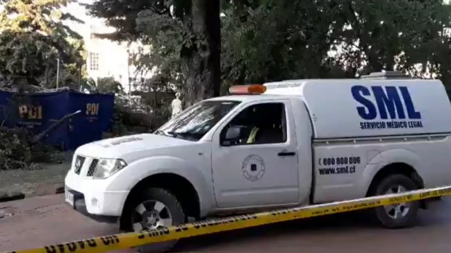 Caída de árbol dejó un menor muerto en Plaza de Armas de Chillán