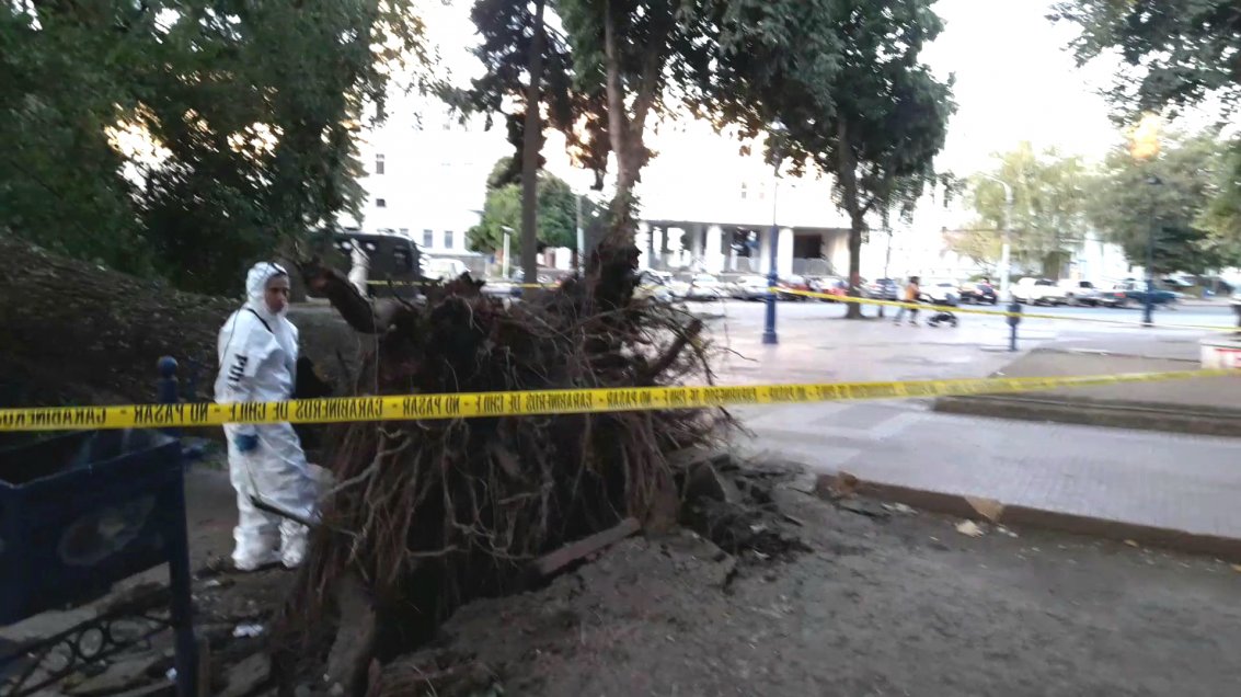 Imagen foto_00000020