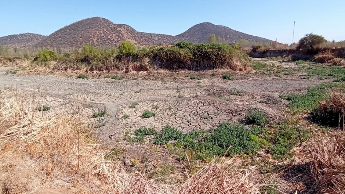 Exigen recuperar humedal de Pirque que está completamente seco