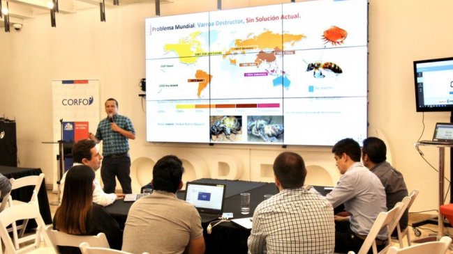 Corfo activa programa para apoyar desarrollo de 200 empresas de la Provincia de Punilla