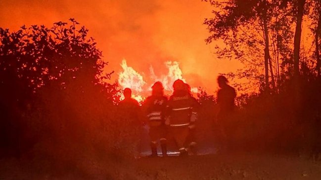 Tres municipios se querellaron por incendio en la Reserva Nacional Nonguén