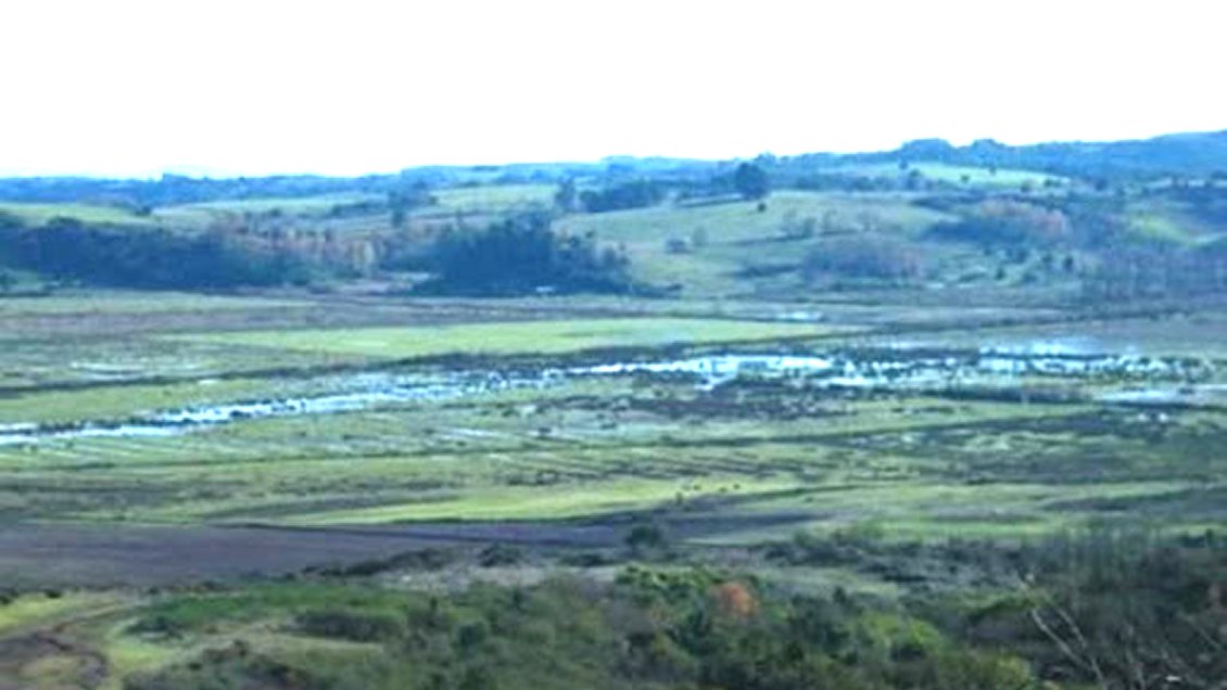 Temuco: Solicitan declarar humedal urbano a las Vegas de Chivilcán