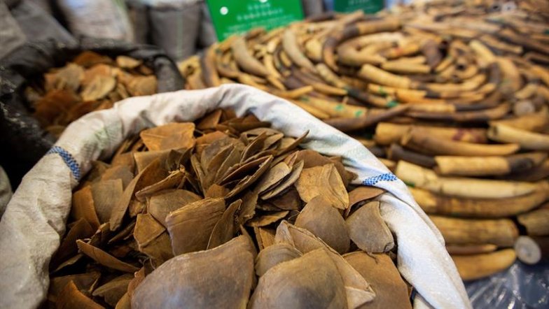 Imagen foto_00000002