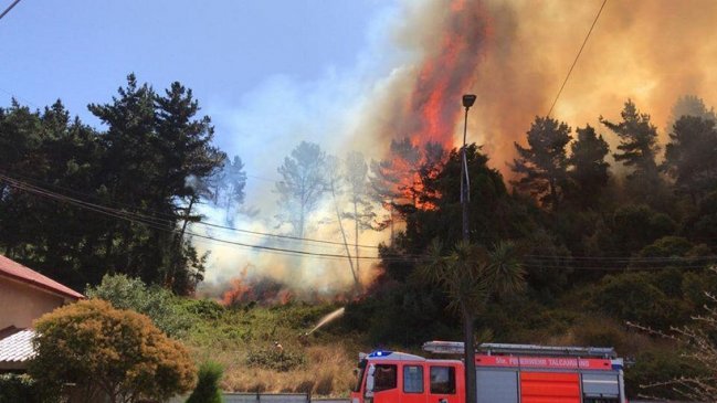 Tres incendios forestales se registran en cerros de Talcahuano