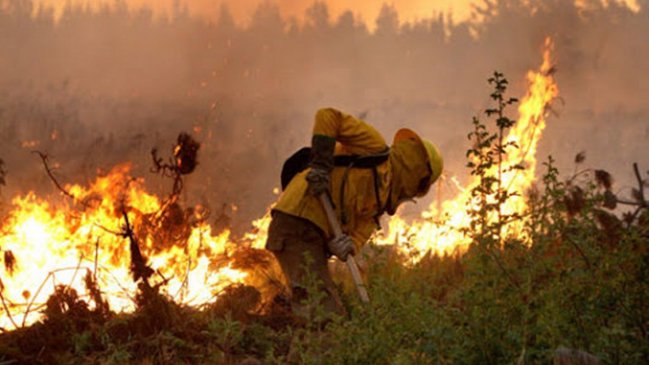 Onemi decretó alerta roja para Lumaco y Galvarino por incendios forestales