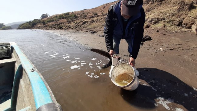 Toman muestras del Río Mataquito tras denuncia de contaminación
