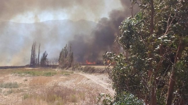 Intendencia de Valparaíso declaró Alerta Amarilla para la comuna de San Felipe por incendio forestal