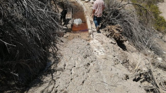 Agricultores de Alto del Carmen recibirán recursos para recuperarse del aluvión de enero