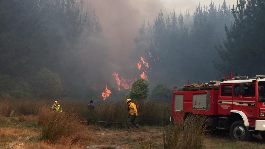 Onemi decretó alerta roja en Penco por incendio forestal