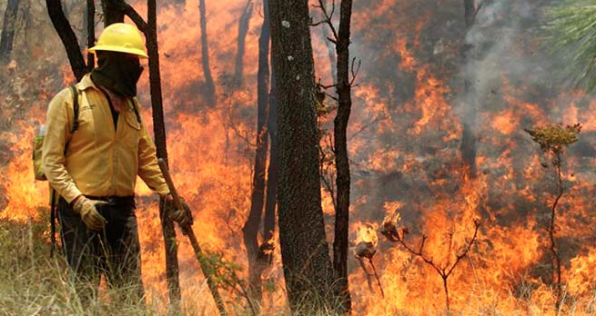 Conaf cerró senderos en Radal Siete Tazas por amenaza de incendio forestal