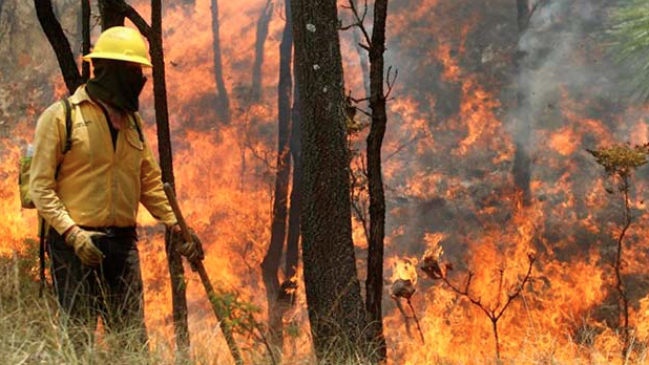 Conaf cerró senderos en Radal Siete Tazas por amenaza de incendio forestal