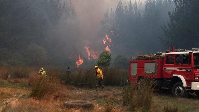 Intendencia canceló alerta roja para la comuna de Penco por incendio forestal