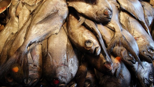 Empresas pesqueras de Perú suspenden envíos a China debido al coronavirus