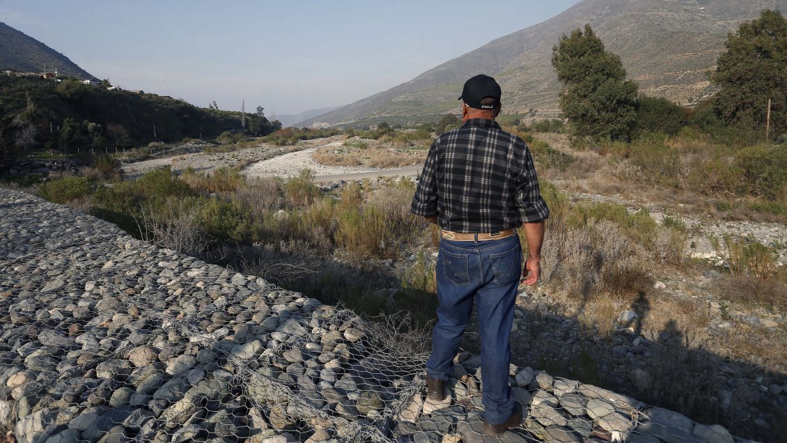 Sequía: Declaran emergencia agrícola en ocho comunas de la Región de Ñuble