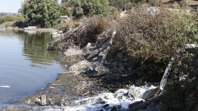 Denuncian a planta de aguas servidas por contaminación en el lago Vichuquén