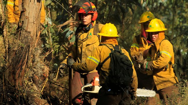Molina: Evacuaron preventivamente sector de El Toro y el Radal por incendio forestal en descontrol