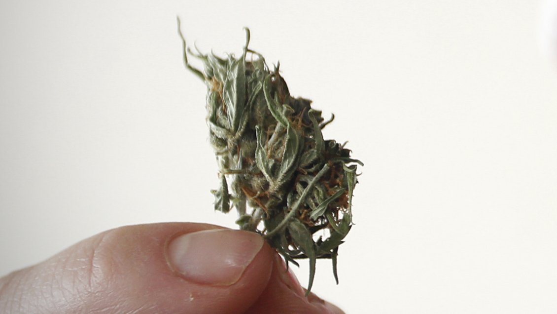 Lactante de nueve meses resultó intoxicada con marihuana en Arica