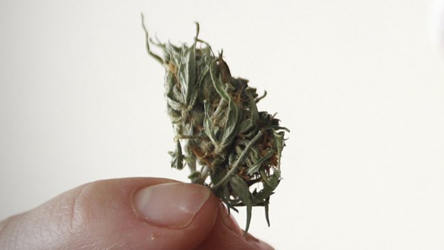 Lactante de nueve meses resultó intoxicada con marihuana en Arica