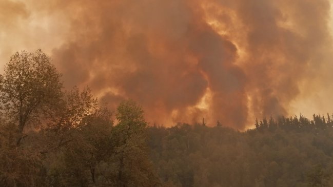 Avanza control de incendio forestal en cercanías del Radal Siete Tazas