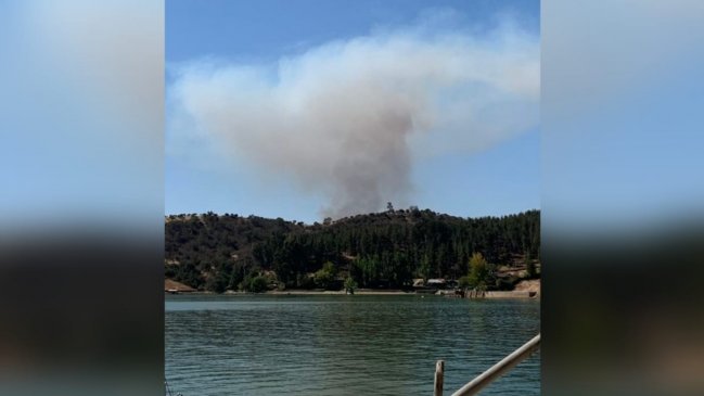 Intendencia declara alerta roja para Litueche por incendio forestal