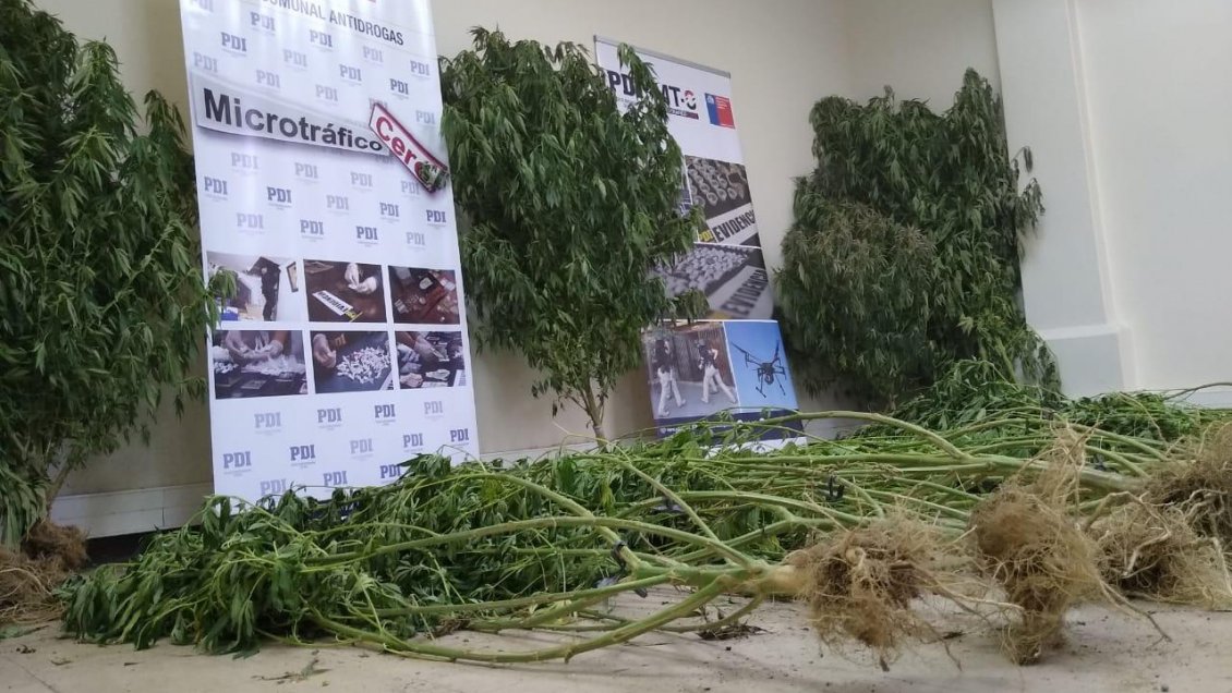 PDI detiene a cuatro personas acusadas de microtráfico en Pichidegua y Las Cabras