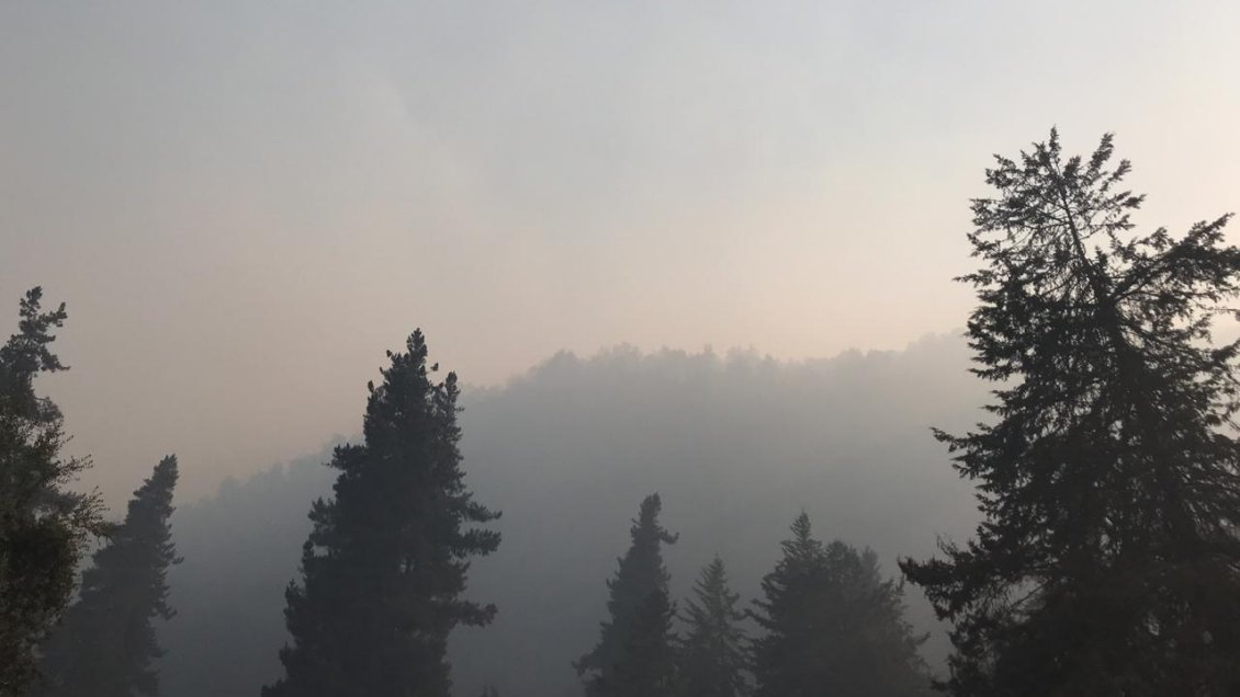 Combaten rebrote del incendio forestal cercano a Radal Siete Tazas