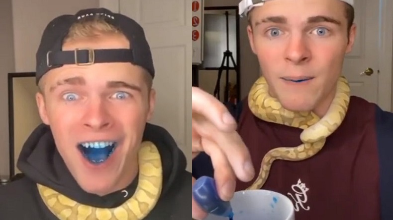 ¿Estupidez viral? Tiktoker bebió colorante azul para cambiar cómo luce su orina