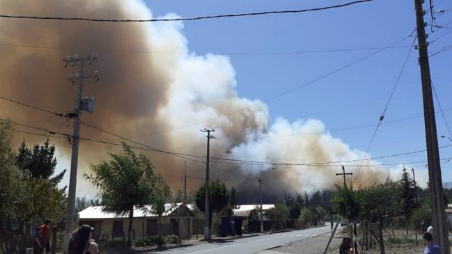 Declaran alerta roja por incendio forestal que afecta a Tucapel