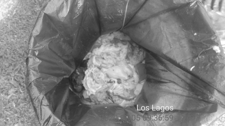 Imagen foto_00000002